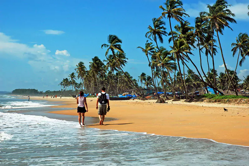 Best Beaches in North and South Goa: Complete Guide