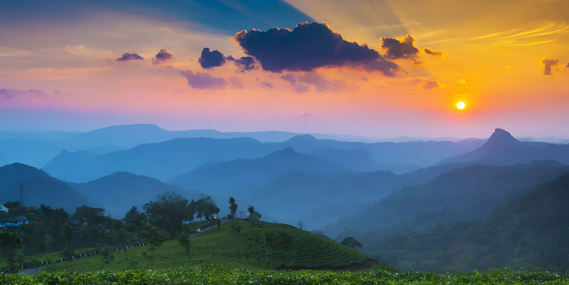 Best Tourist Places in Munnar You Must Visit