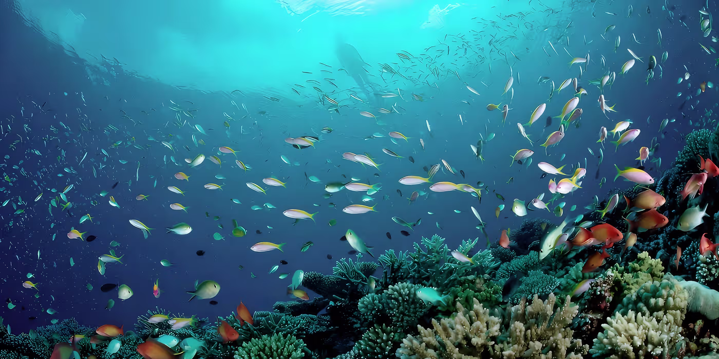 Top Independent Contractors to Invest in Best of Startups