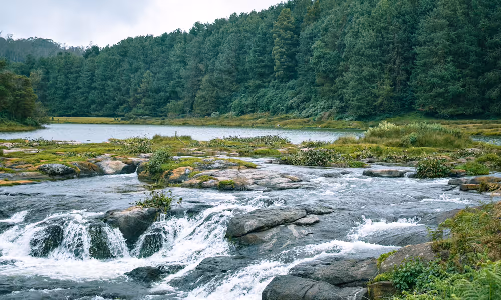 Ooty | Udhagamandalam | Hill stations in Tamil Nadu